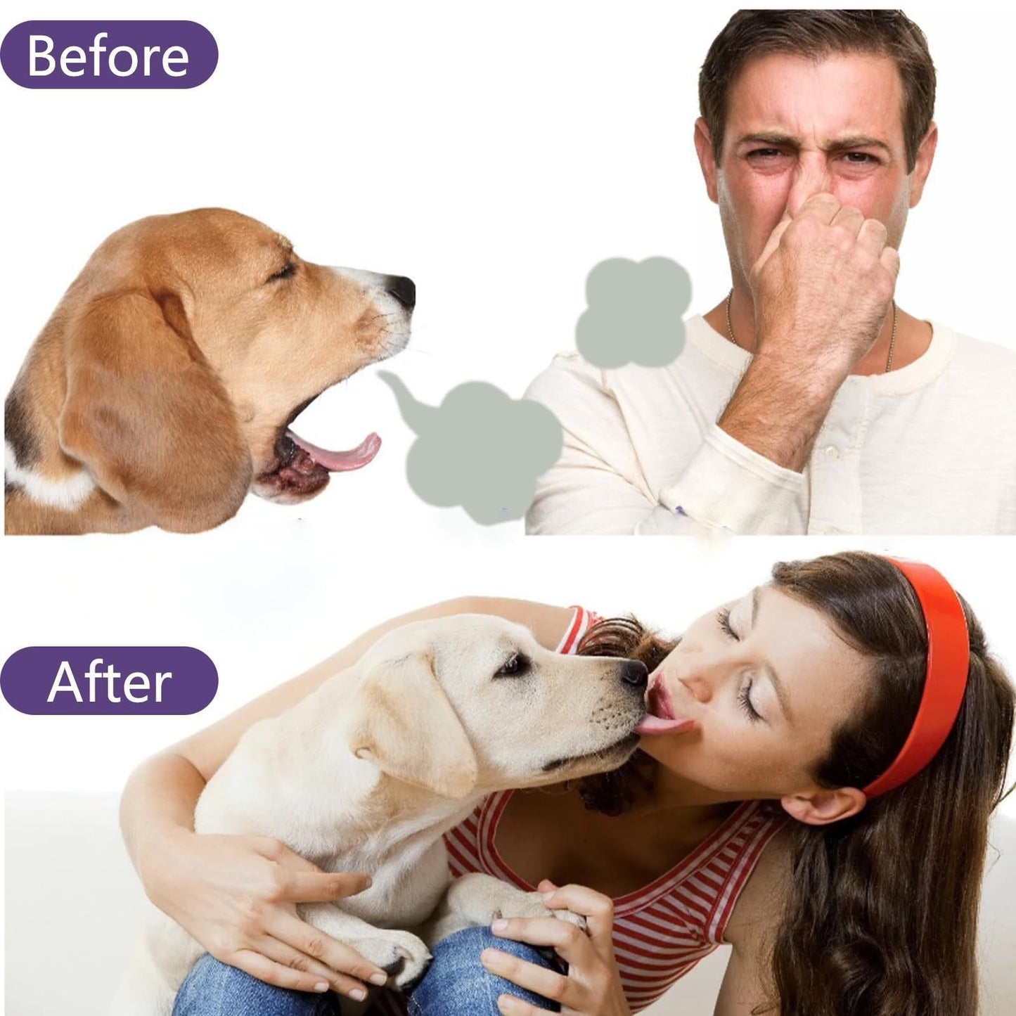 🏆Flash Sale#🔥Pet Tartar Remover Foam – Fresh Breath & Healthy Teeth, No Brushing Needed -8RH7