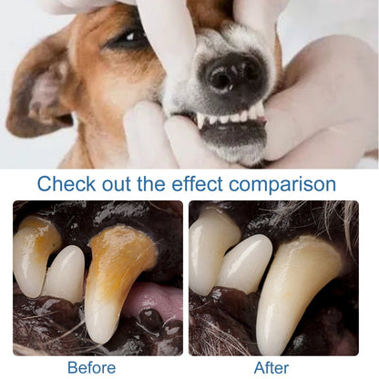 🏆Flash Sale#🔥Pet Tartar Remover Foam – Fresh Breath & Healthy Teeth, No Brushing Needed -8RH7