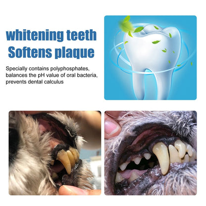 🏆Flash Sale#🔥Pet Tartar Remover Foam – Fresh Breath & Healthy Teeth, No Brushing Needed -8RH7