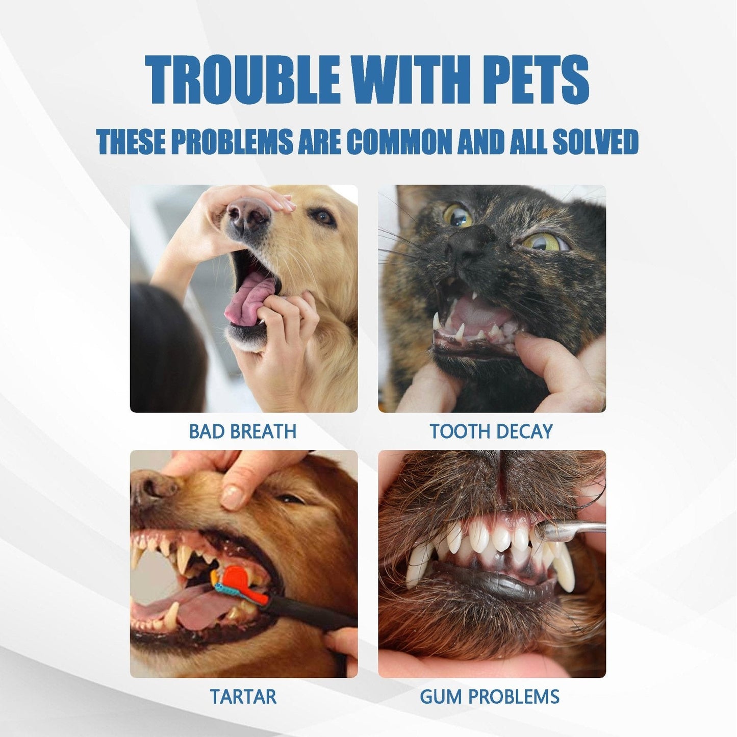 🏆Flash Sale#🔥Pet Tartar Remover Foam – Fresh Breath & Healthy Teeth, No Brushing Needed -8RH7