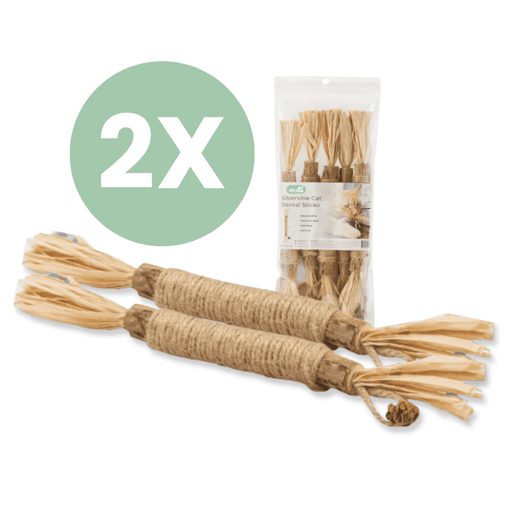 🔥HOT SALE 49% OFF🔥Cat Teething Stick  Catnip Chew Toy  Dental Care Bell
