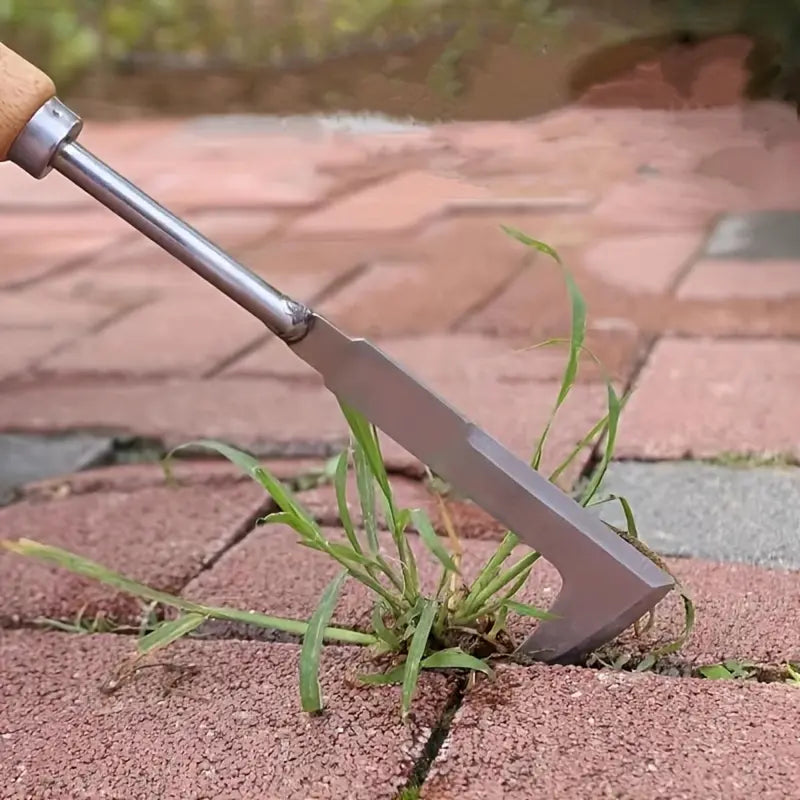 Stainless Steel Weeding tool