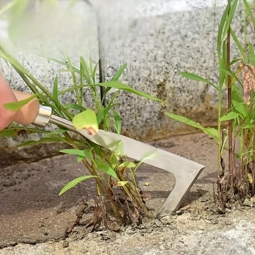 Stainless Steel Weeding tool