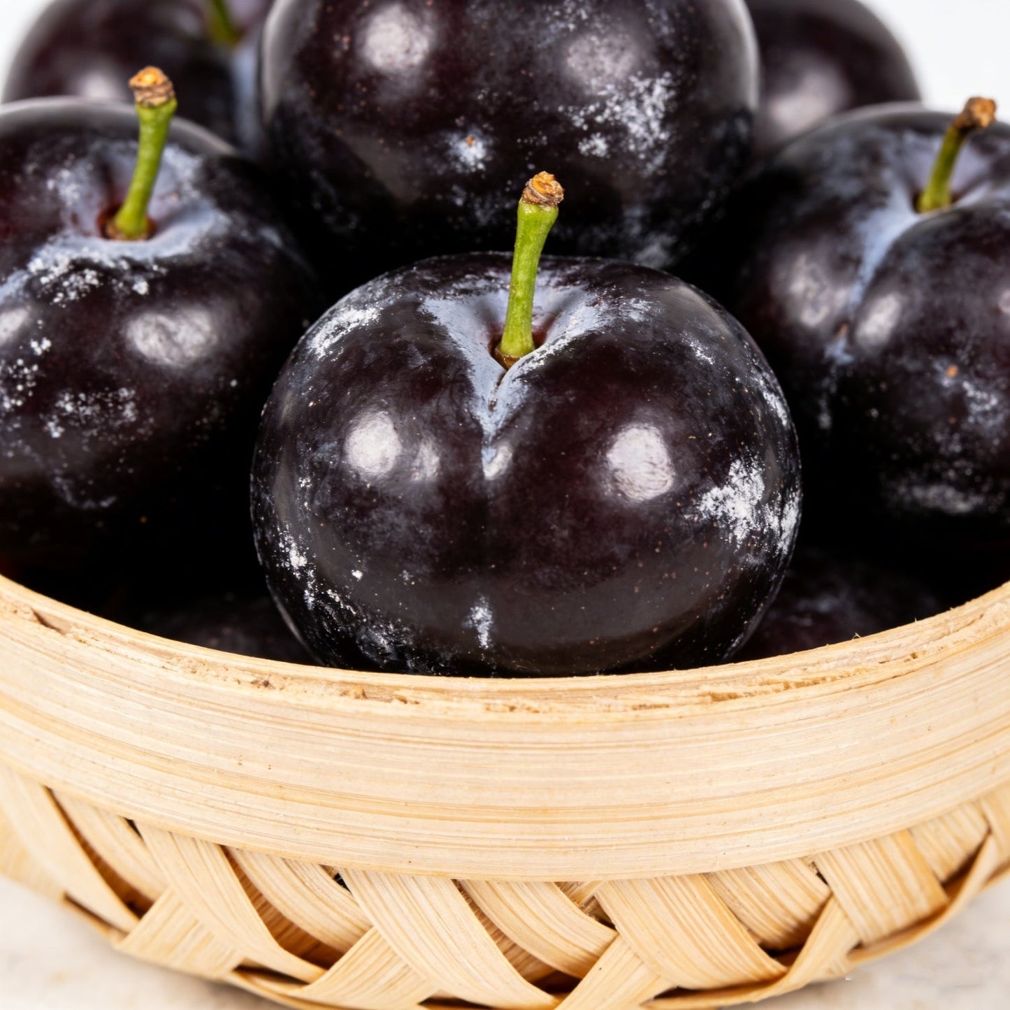 🌱Sweet Plum Growing Kit