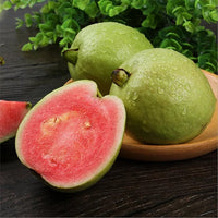 Ruby Guava