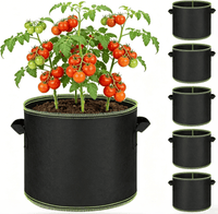BUY 1 （5 Pack）