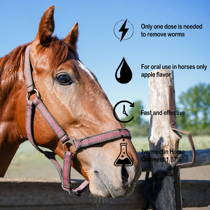 🔥Last Day 49% OFF - ivermectin Horse Paste 1.87% 6.08g Tubes