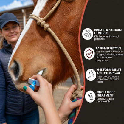 🔥Last Day 49% OFF - ivermectin Horse Paste 1.87% 6.08g Tubes