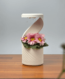 🔥Hot sale 49% off 🔥 Creative Self-Watering Desktop Vase | VERTIGO Swirl Design