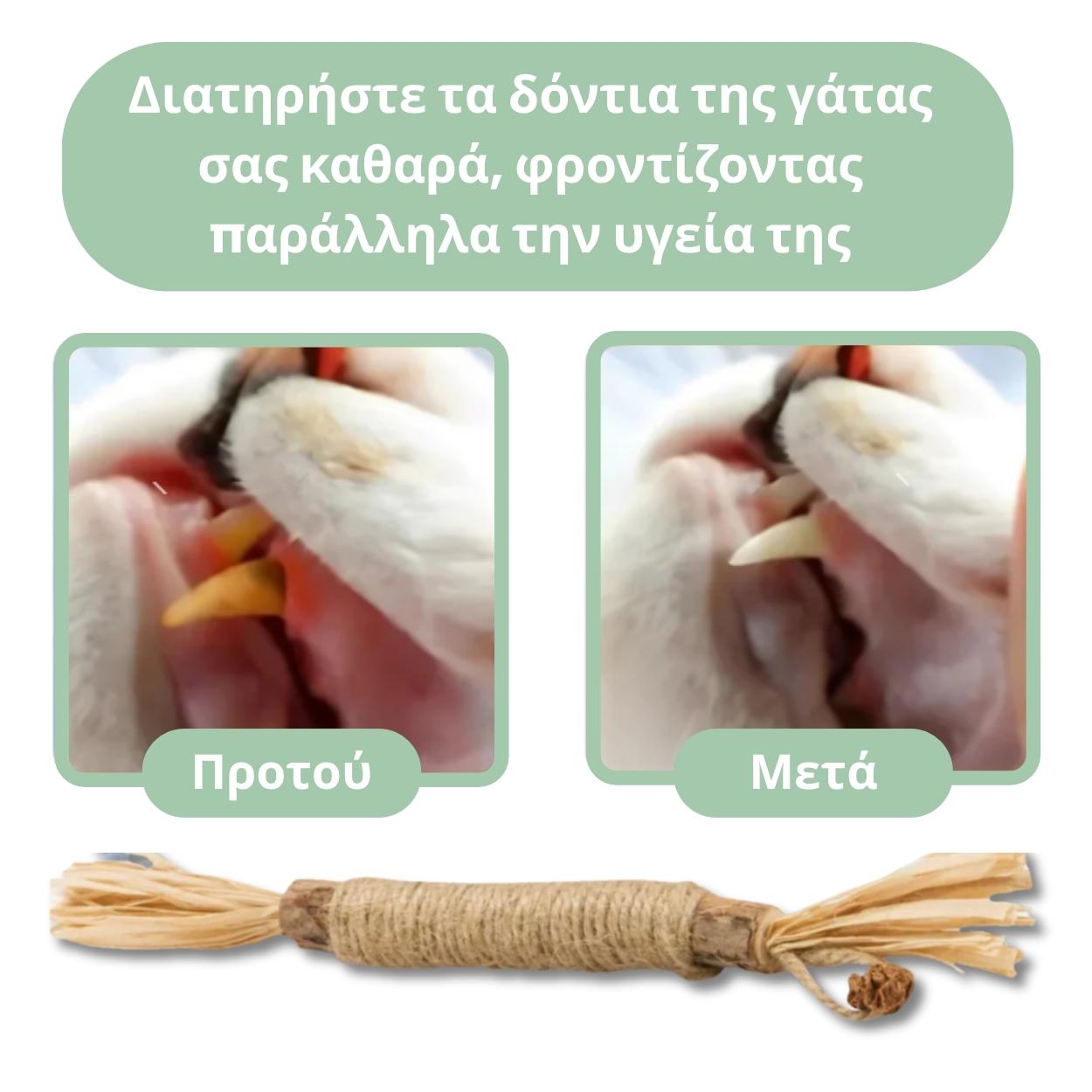🔥HOT SALE 49% OFF🔥Cat Teething Stick  Catnip Chew Toy  Dental Care Bell