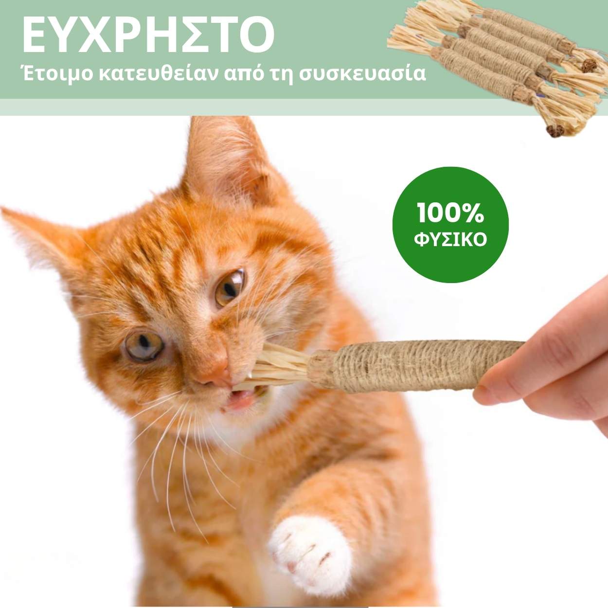 🔥HOT SALE 49% OFF🔥Cat Teething Stick  Catnip Chew Toy  Dental Care Bell