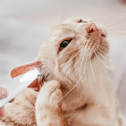 🔥HOT SALE 49% OFF 🔥 FurLuxe | Effortless Grooming for Perfect Paws