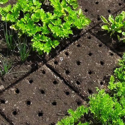 🔥HOT SALE 49%OFF🔥 Seeding Square-Garden Planting Template