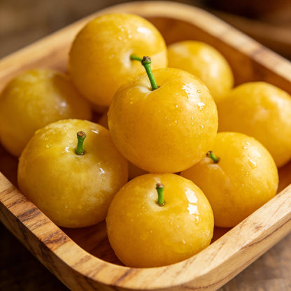🌱Sweet Plum Growing Kit