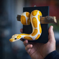 🐍Golden Serpent