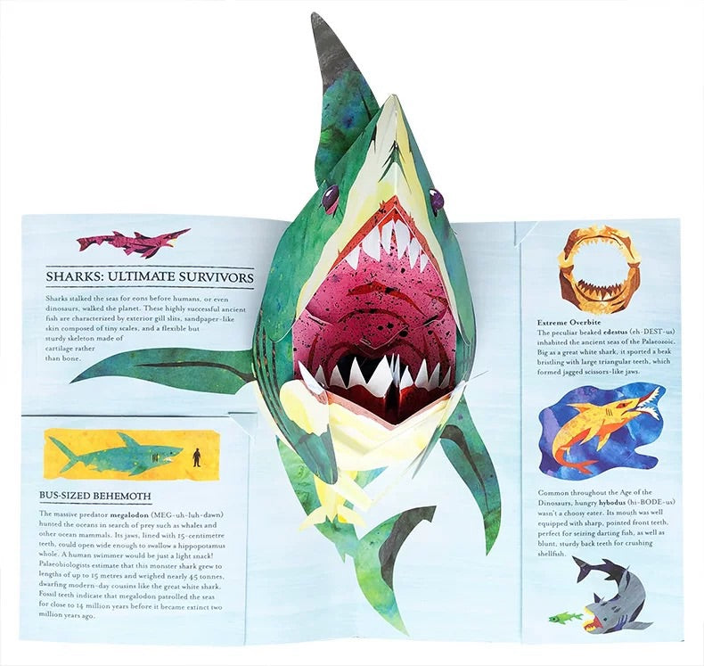 3D Dinosaur Pop-Up Adventure
