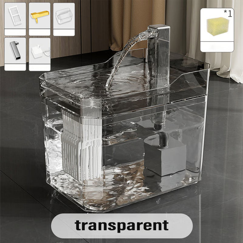 transparent